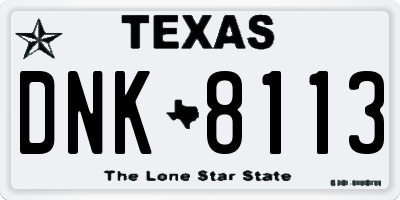 TX license plate DNK8113