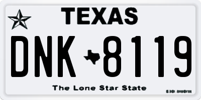 TX license plate DNK8119