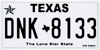 TX license plate DNK8133