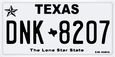 TX license plate DNK8207