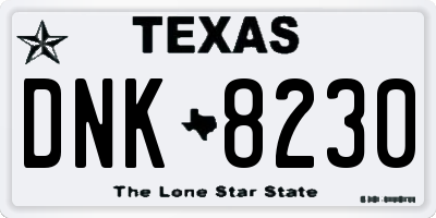 TX license plate DNK8230