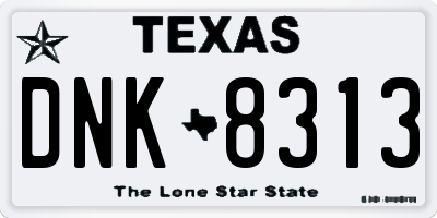 TX license plate DNK8313
