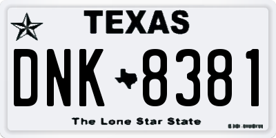 TX license plate DNK8381