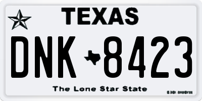 TX license plate DNK8423