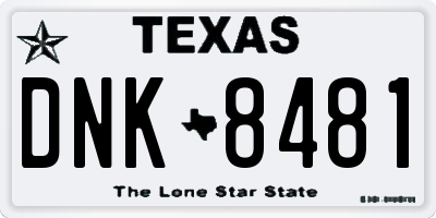 TX license plate DNK8481