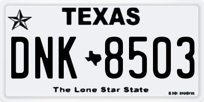 TX license plate DNK8503