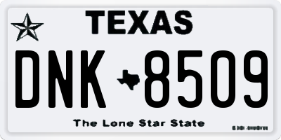 TX license plate DNK8509
