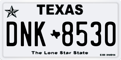 TX license plate DNK8530