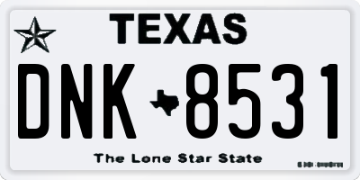 TX license plate DNK8531