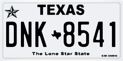 TX license plate DNK8541