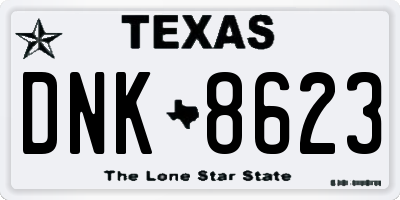 TX license plate DNK8623