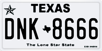TX license plate DNK8666