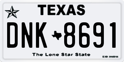 TX license plate DNK8691