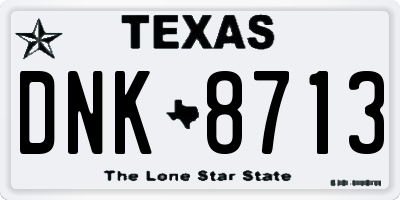 TX license plate DNK8713