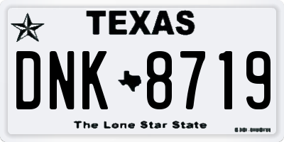 TX license plate DNK8719