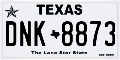 TX license plate DNK8873