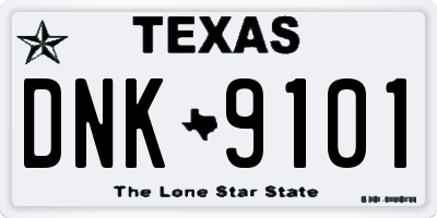 TX license plate DNK9101