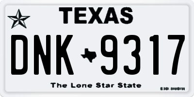 TX license plate DNK9317