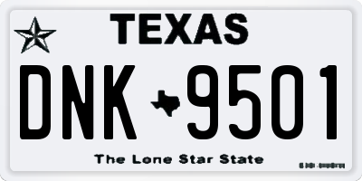 TX license plate DNK9501