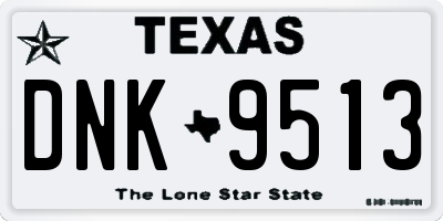 TX license plate DNK9513
