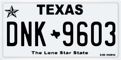 TX license plate DNK9603