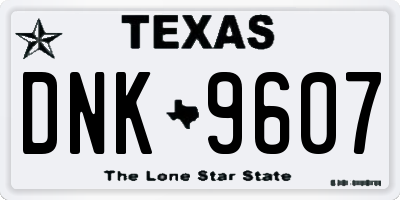 TX license plate DNK9607