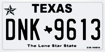 TX license plate DNK9613