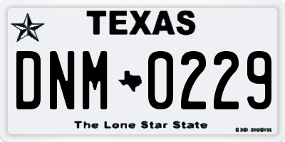TX license plate DNM0229