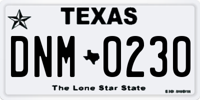 TX license plate DNM0230
