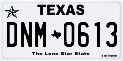 TX license plate DNM0613