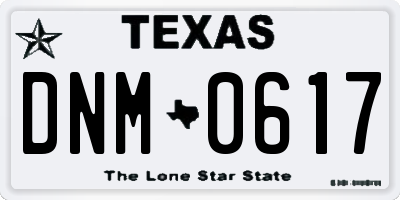 TX license plate DNM0617