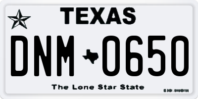 TX license plate DNM0650
