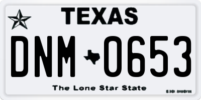TX license plate DNM0653