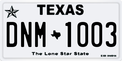 TX license plate DNM1003