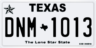 TX license plate DNM1013