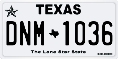 TX license plate DNM1036