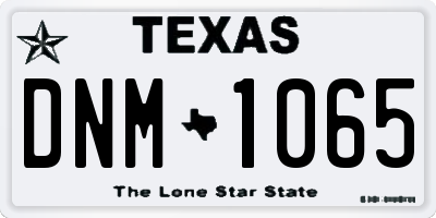 TX license plate DNM1065