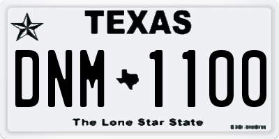 TX license plate DNM1100
