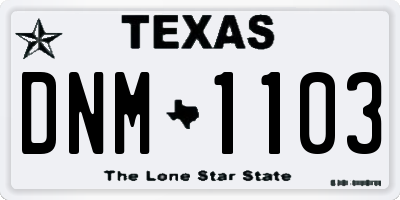 TX license plate DNM1103