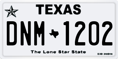 TX license plate DNM1202