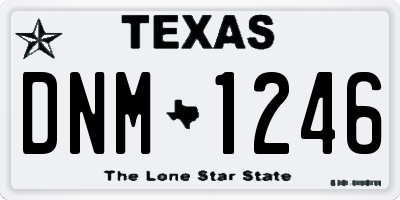 TX license plate DNM1246