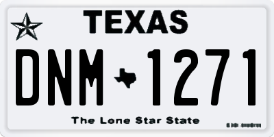 TX license plate DNM1271