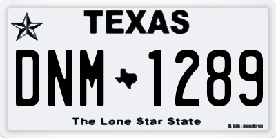TX license plate DNM1289