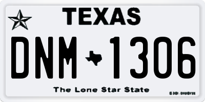 TX license plate DNM1306