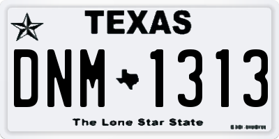 TX license plate DNM1313