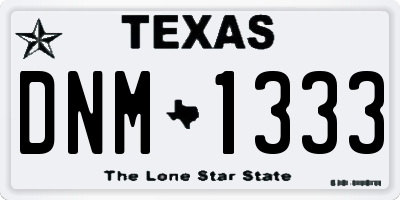 TX license plate DNM1333
