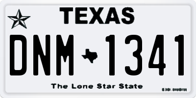 TX license plate DNM1341