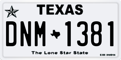 TX license plate DNM1381