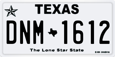 TX license plate DNM1612