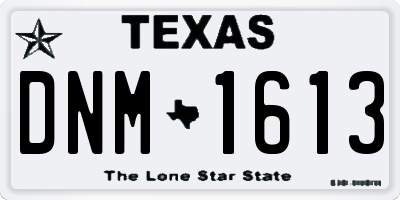 TX license plate DNM1613